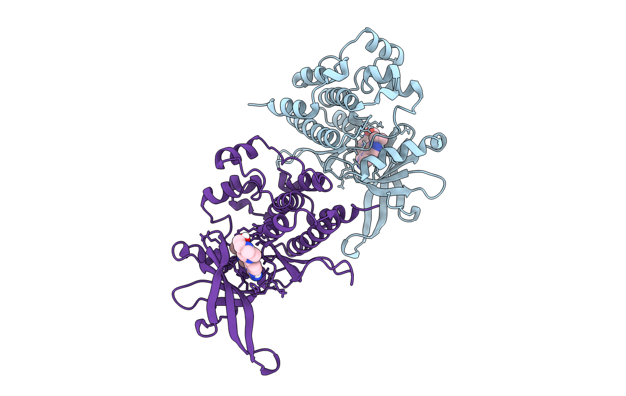 7F7W image