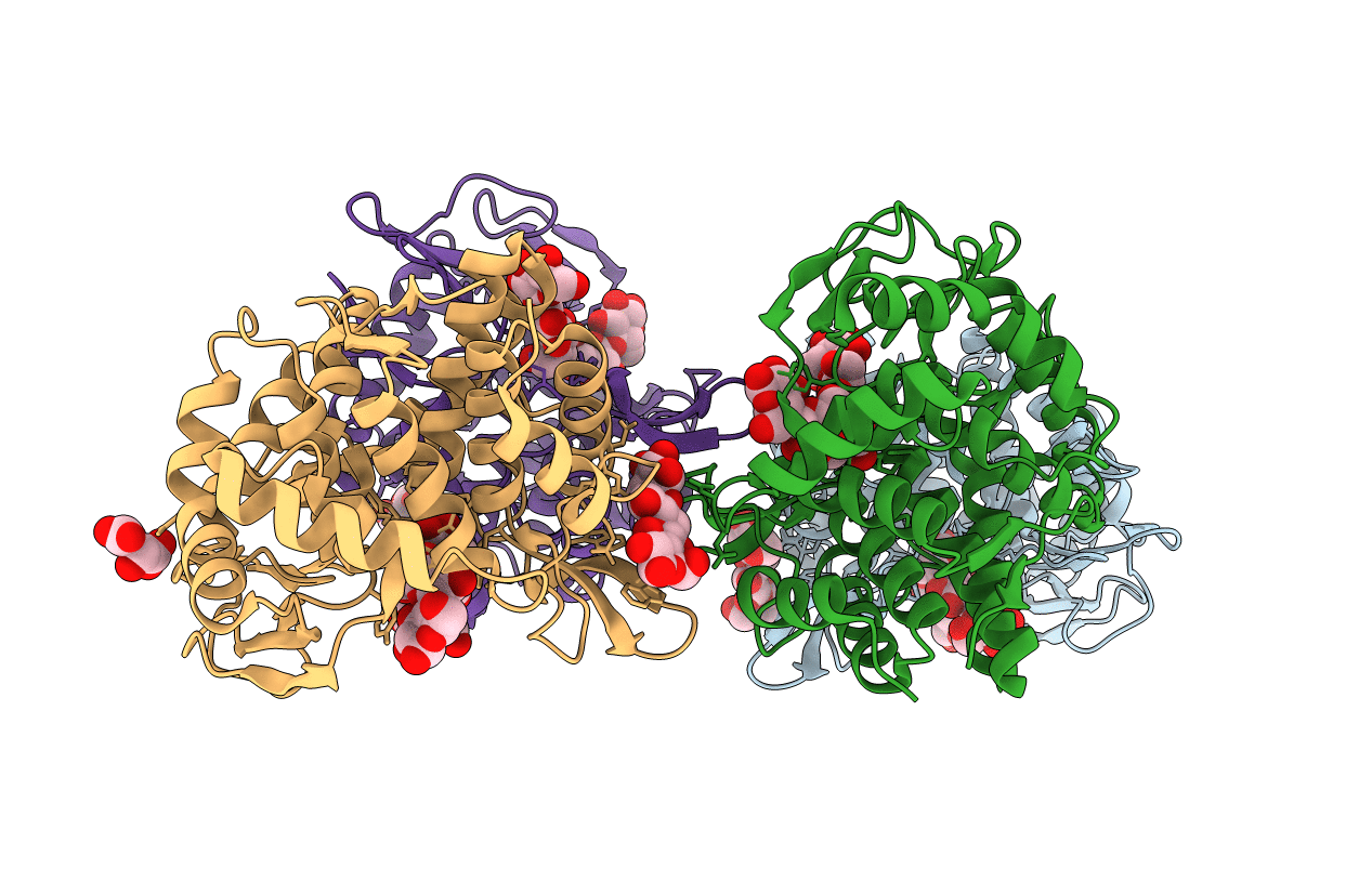 7F82 image