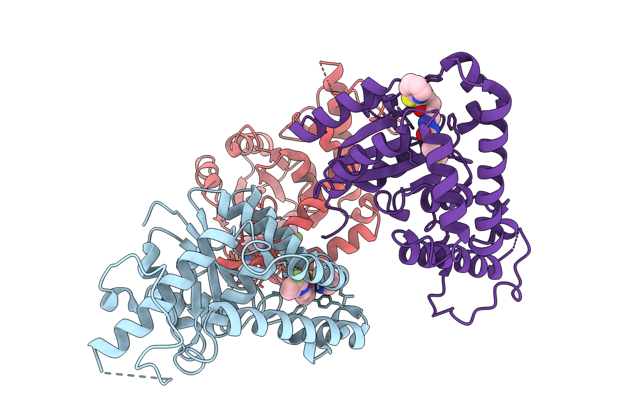 7F8H image