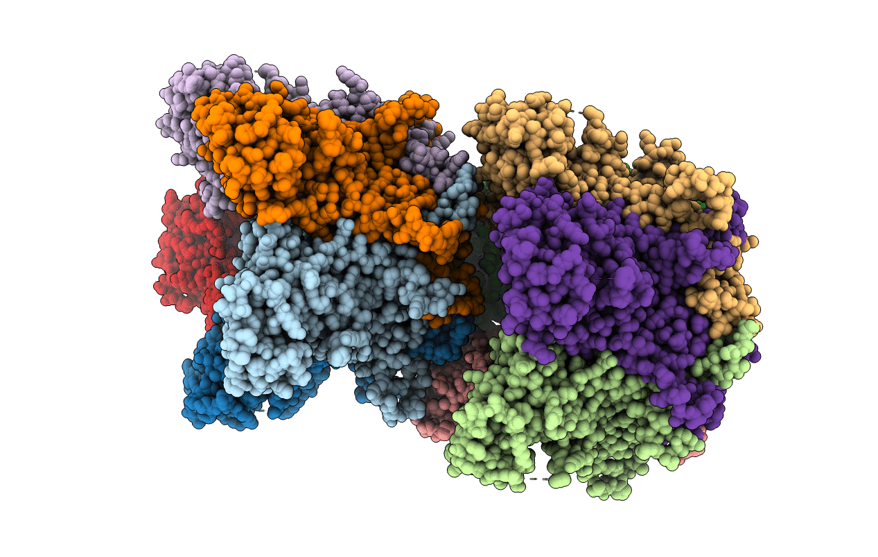 7F8I image
