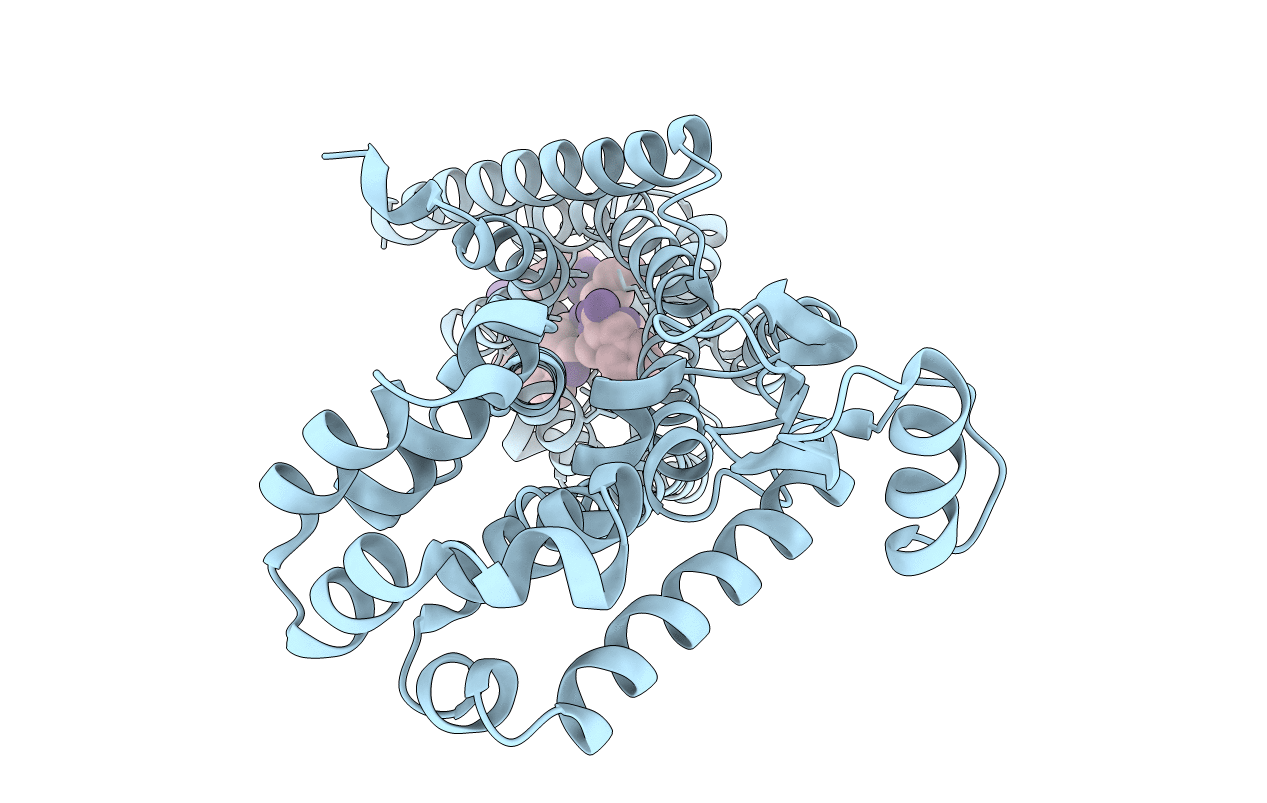 7F8X image