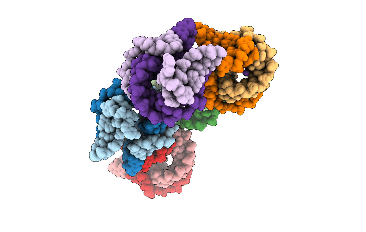 7F8Z image