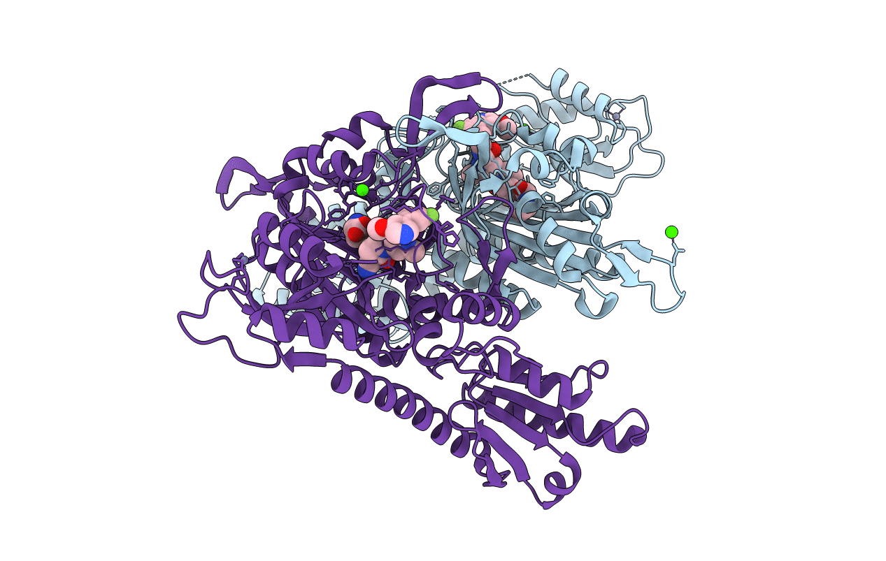 7F99 image