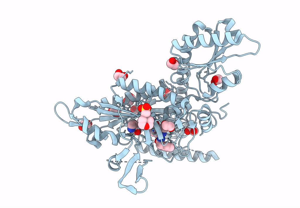 7F9P image