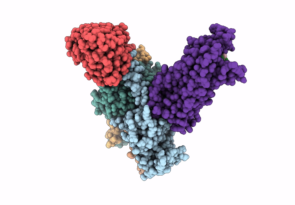 7F9Z image