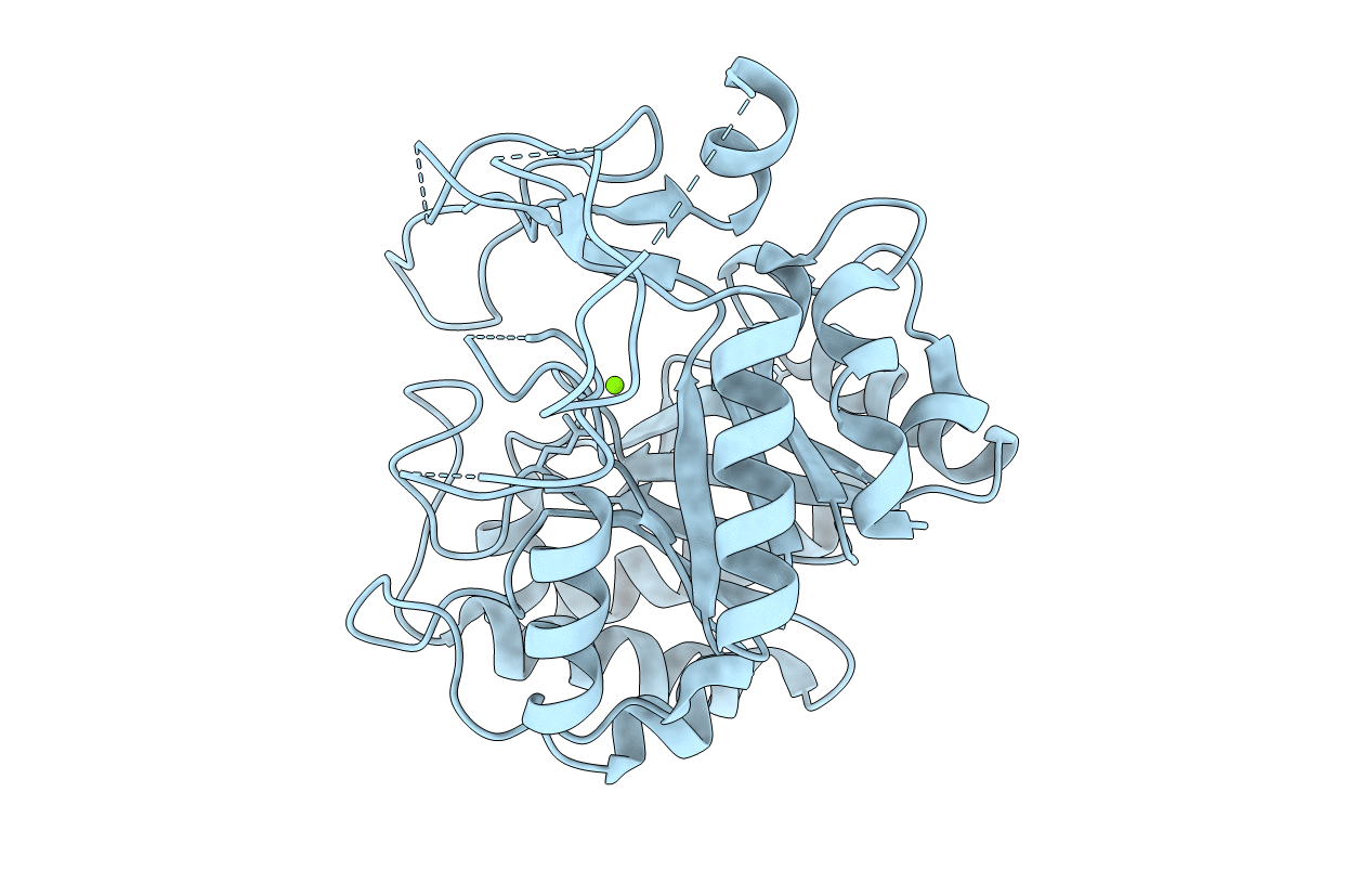 7FBT image