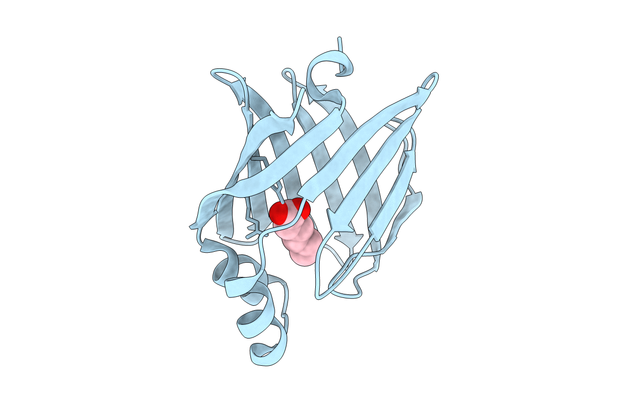7FCX image