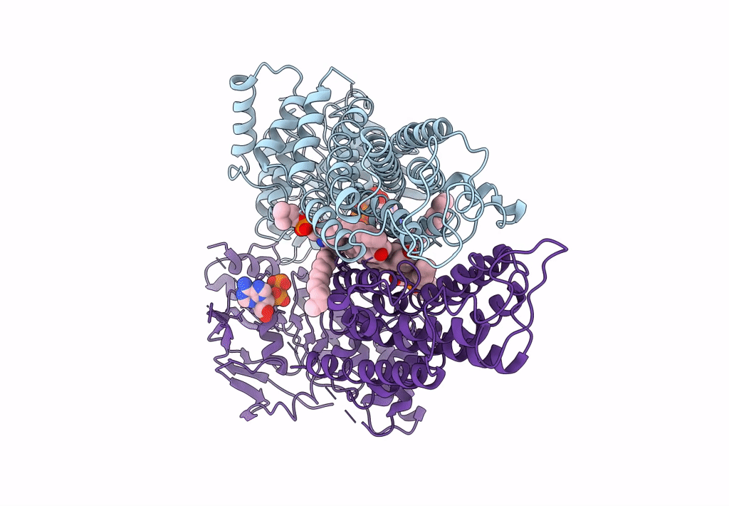 7FDV image