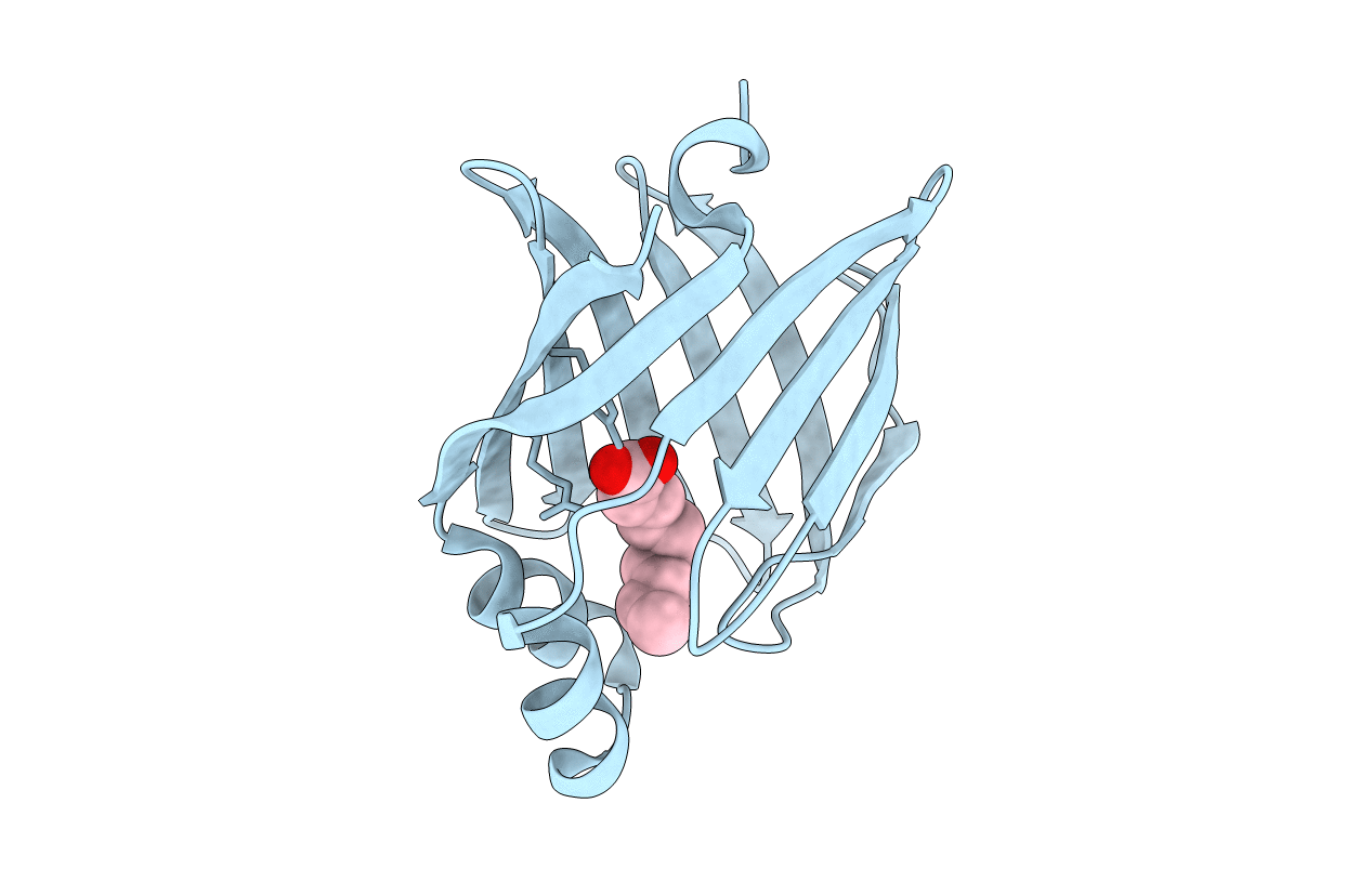 7FG5 image