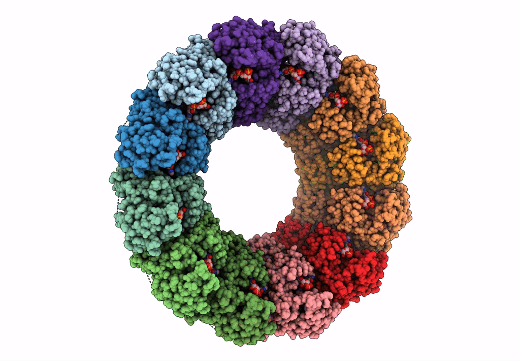 7FGI image