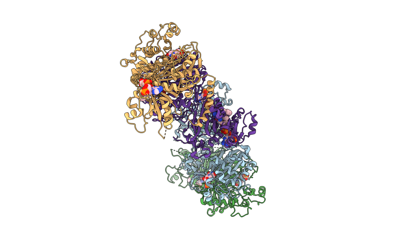7FGX image