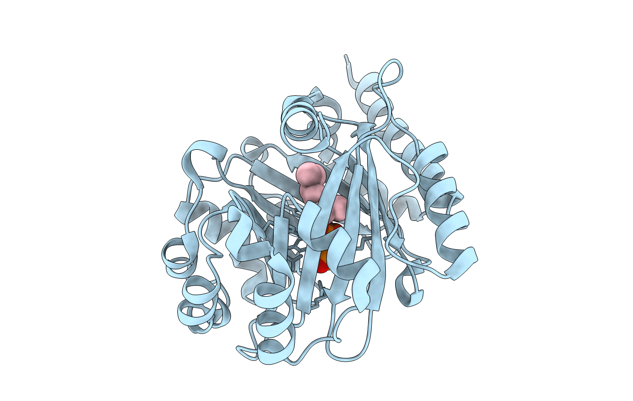 7FHB image