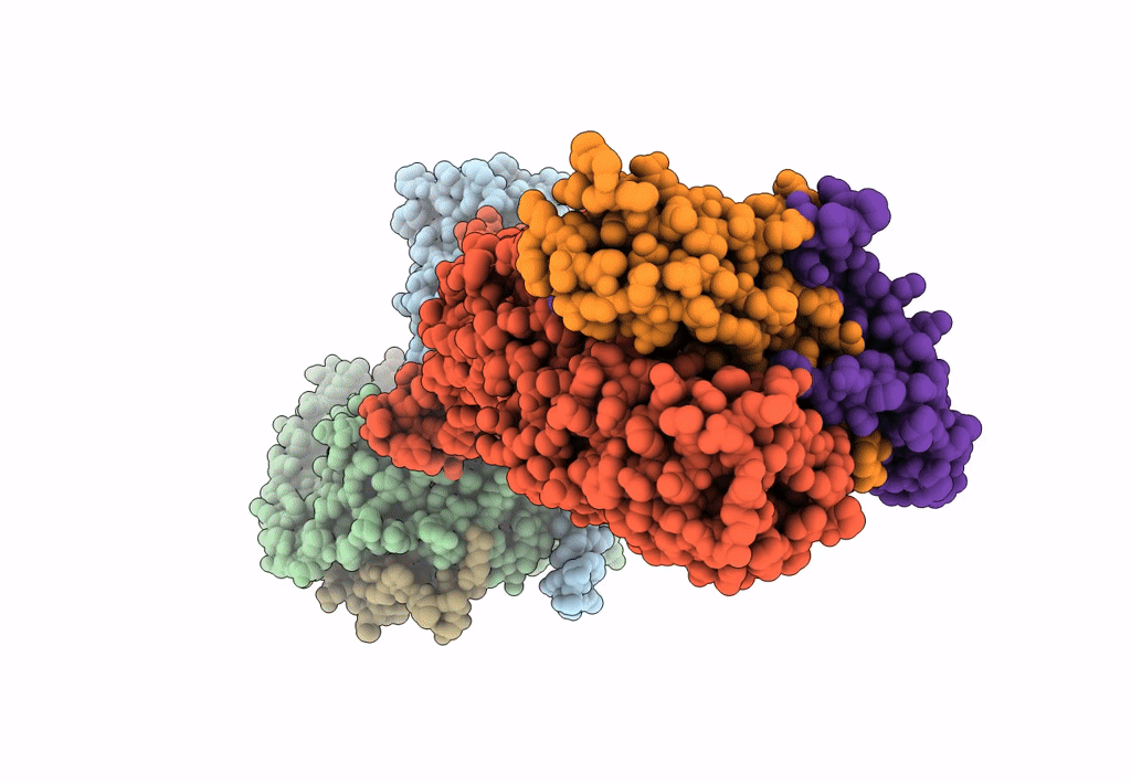 7FIH image