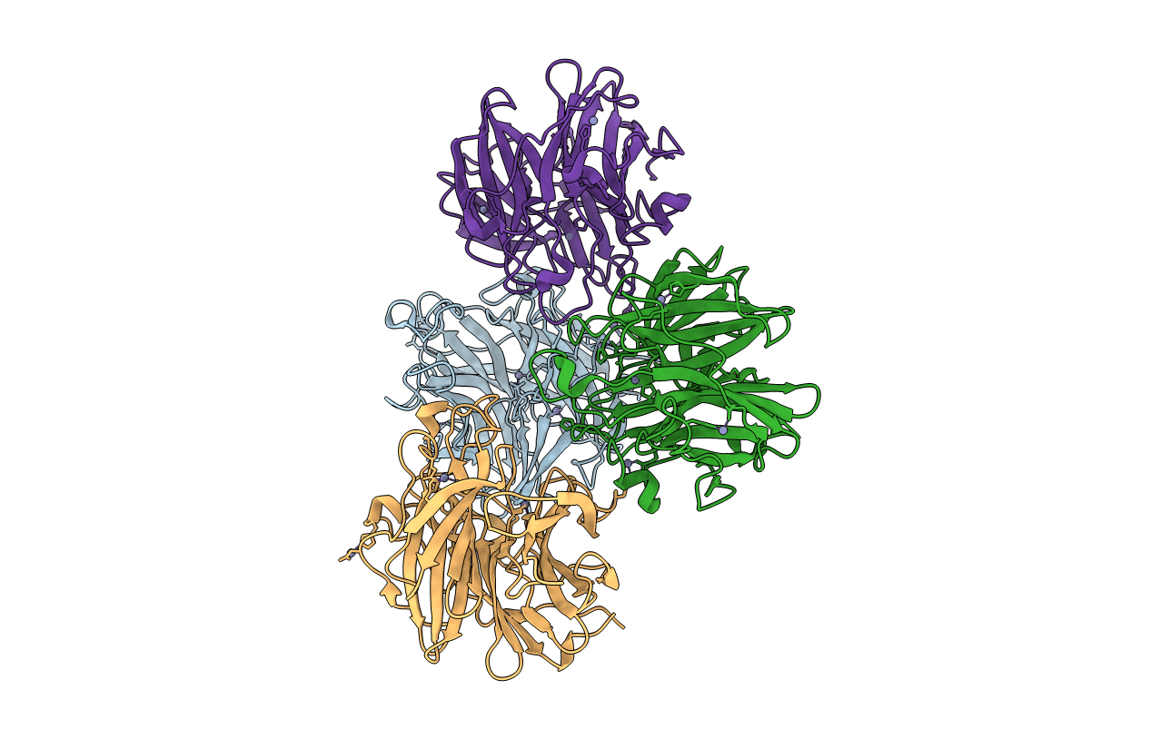 7FIP image
