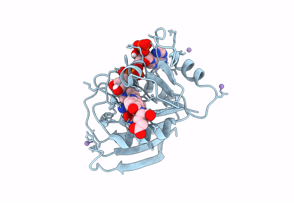 7FPX image