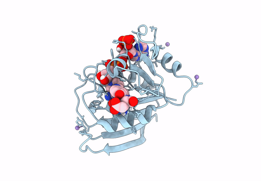 7FQ2 image