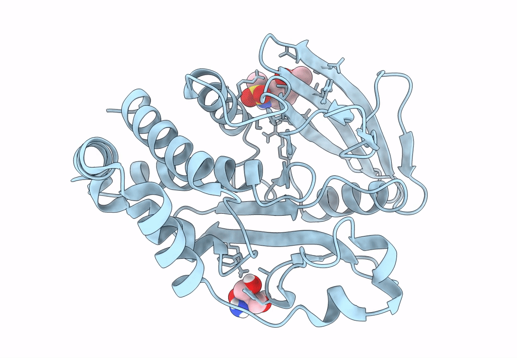 7FRF image