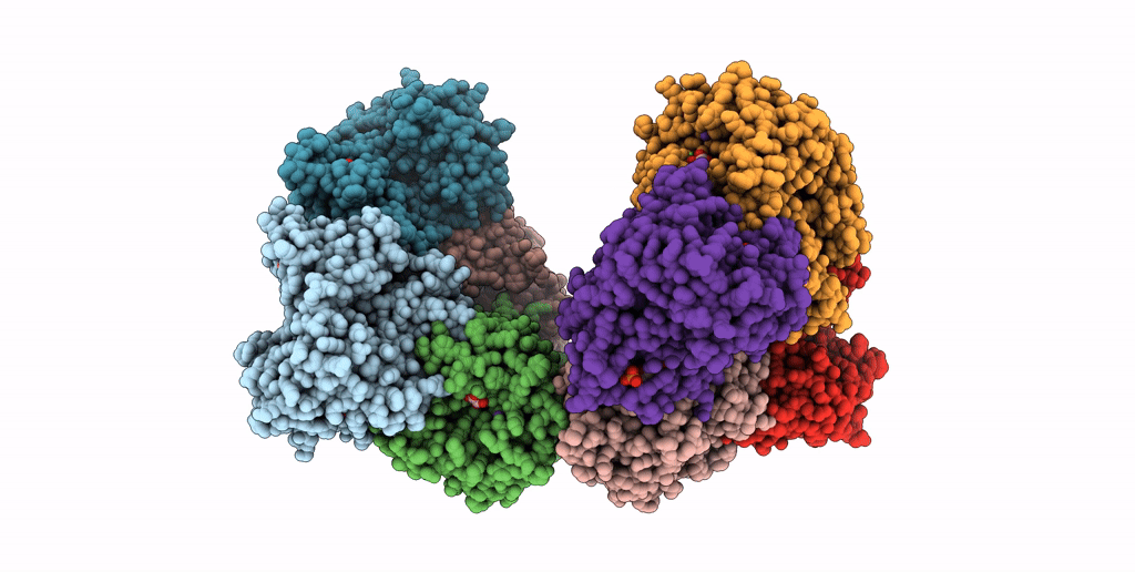 7FRV image