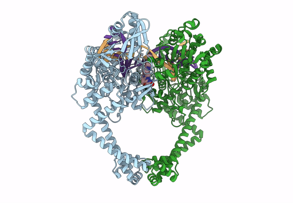 7FVT image