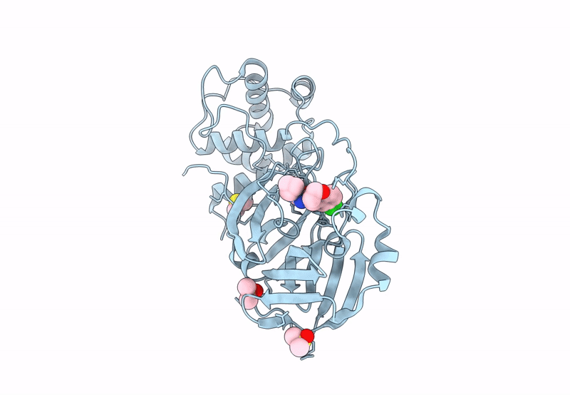 7GBE image