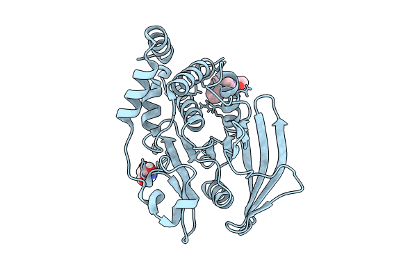 7GSB image
