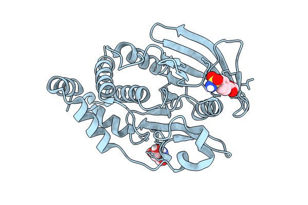 7GSG image