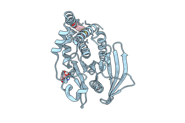 7GSN image