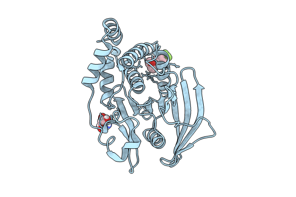 7GSO image