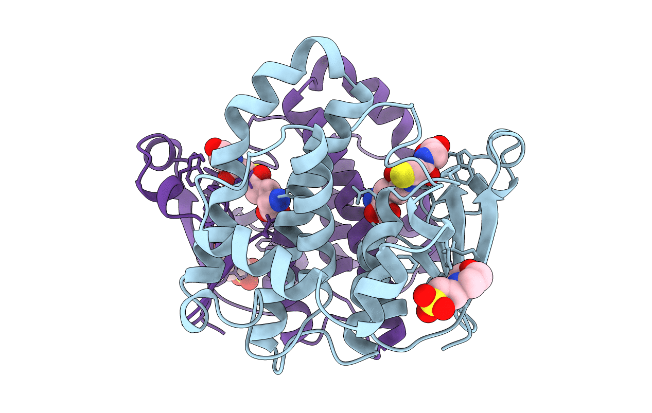7GSS image