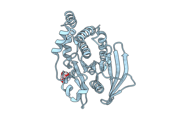 7GTZ image