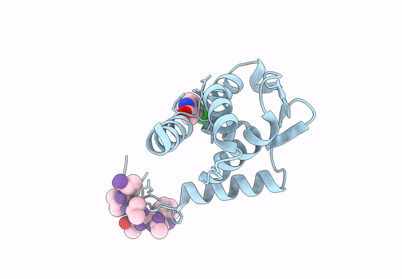 7GVB image