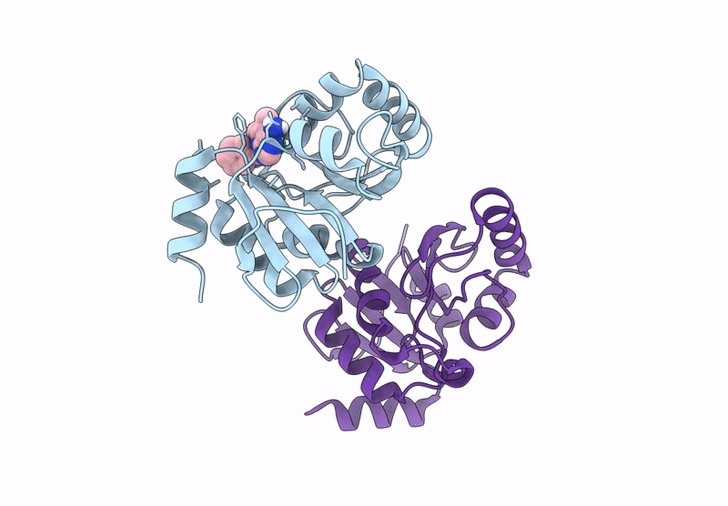 7HCI image