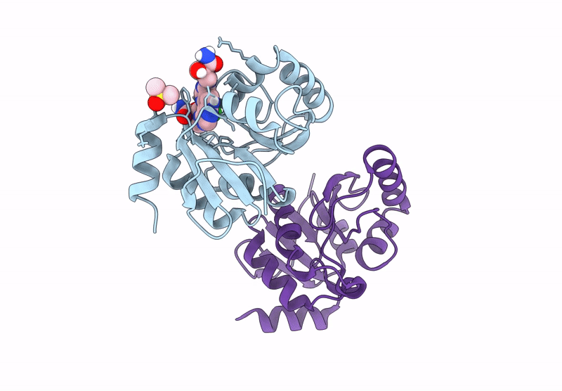 7HCR image