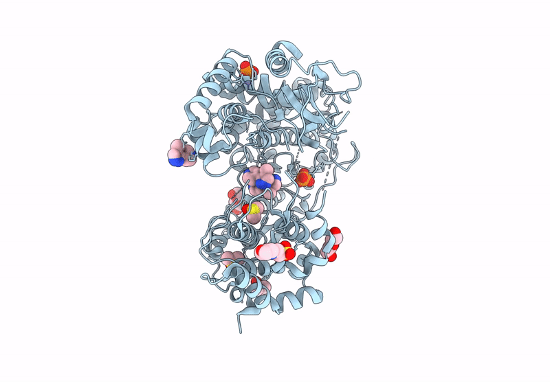 7HKC image