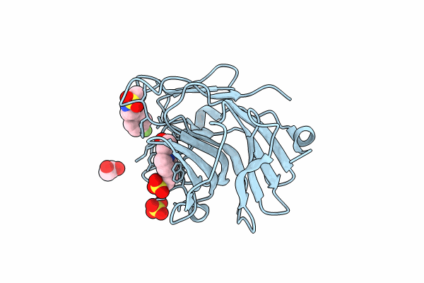 7HLB image