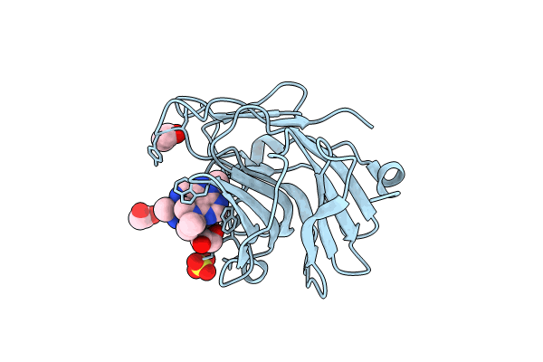 7HLT image
