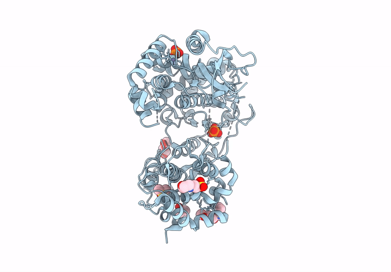 7I2R image