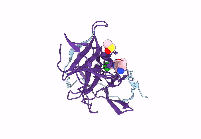 7I9M image