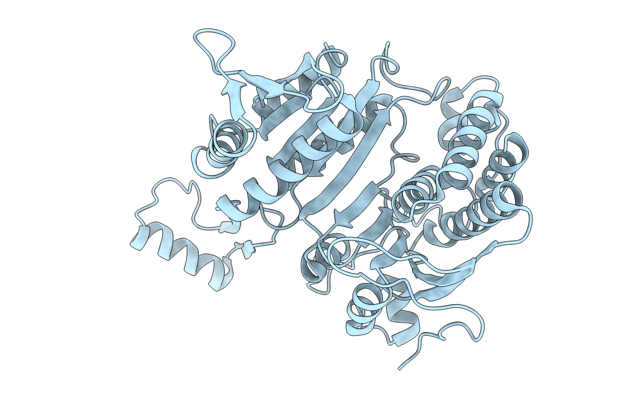 7ICD image