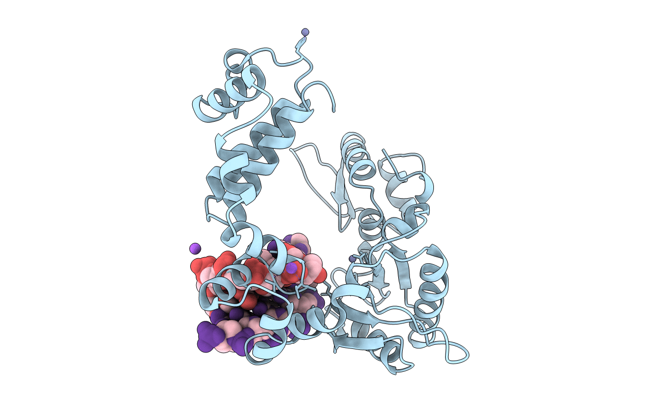 7ICR image