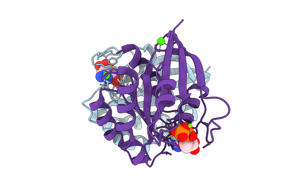 7JII image