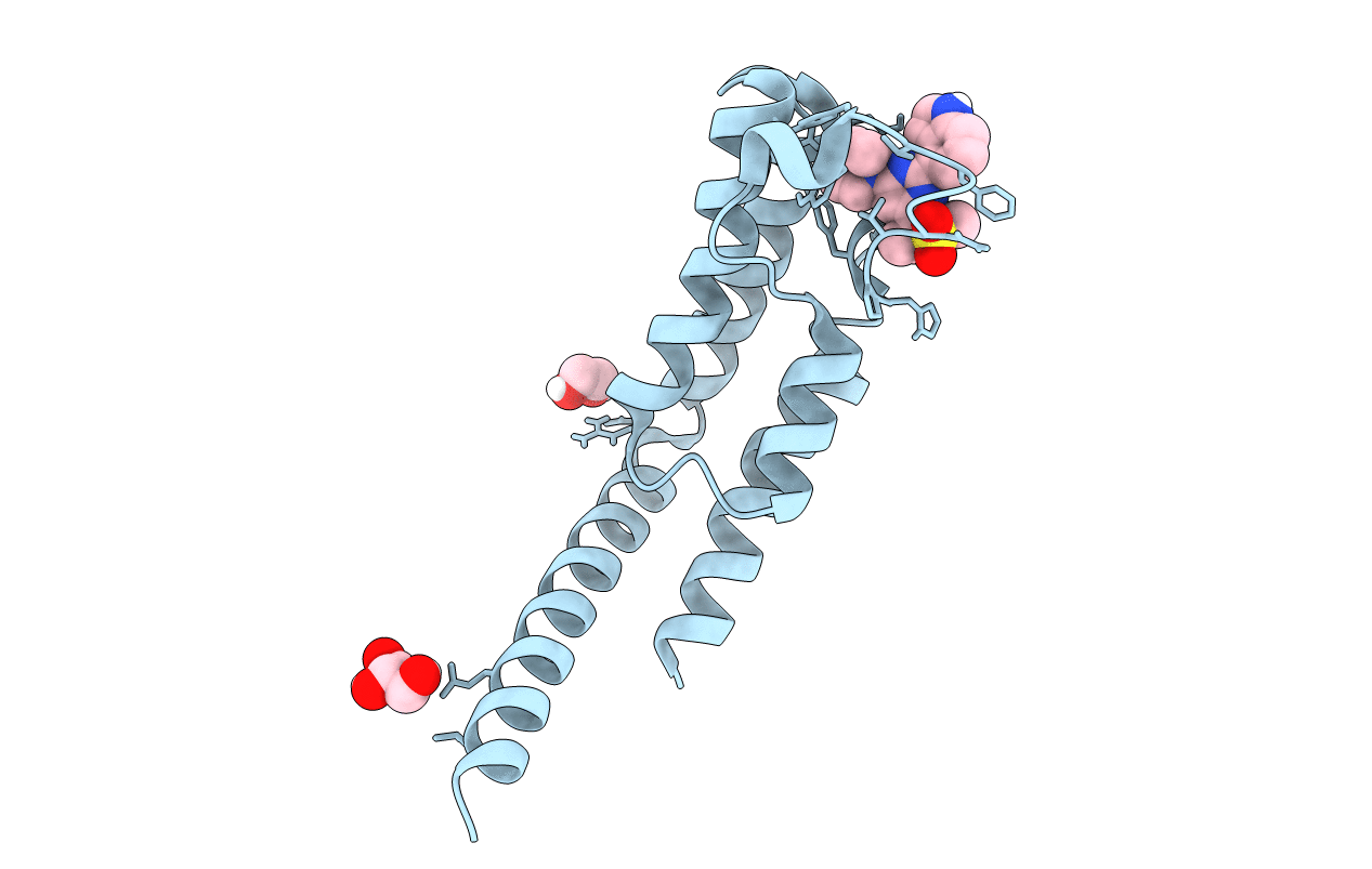 7JJG image