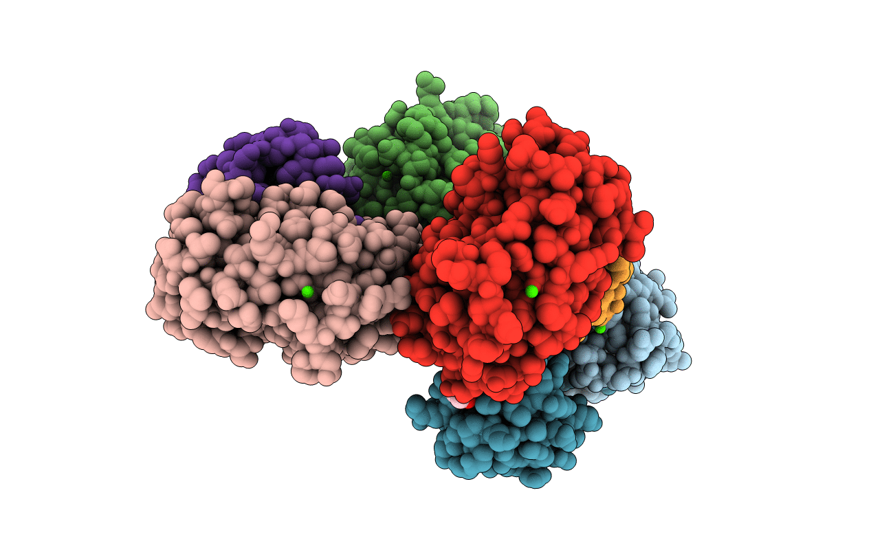 7JMS image
