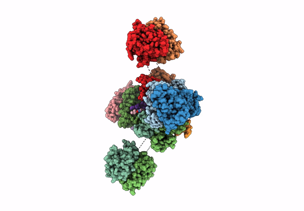 7JN3 image