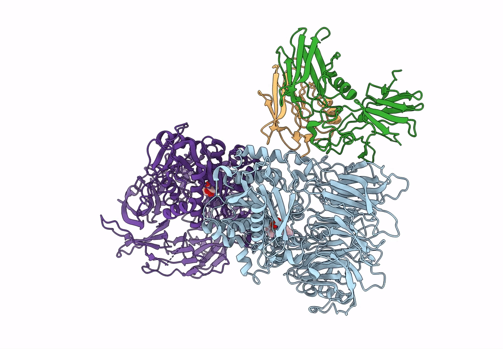 7JN7 image