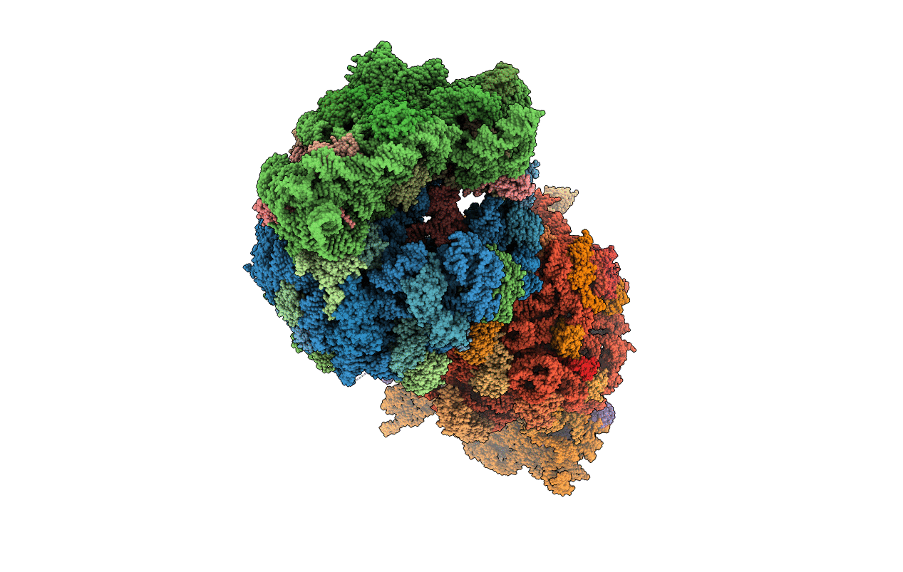 7JQM image