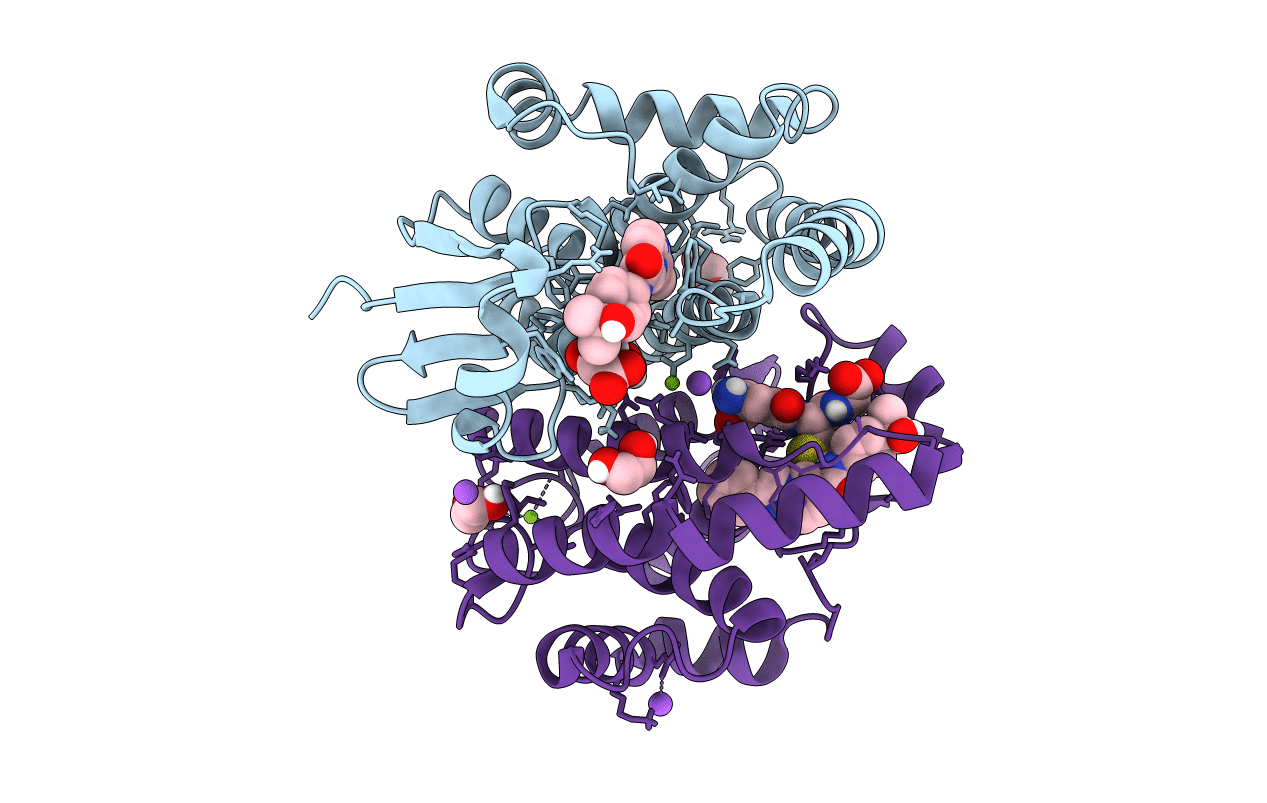 7JR8 image