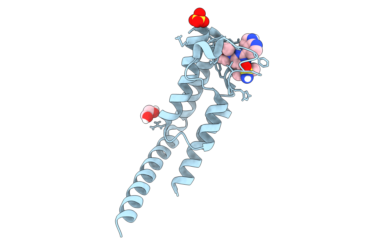 7JSP image