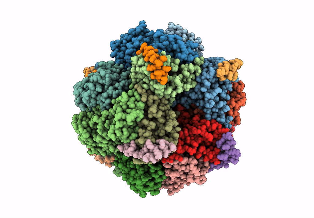 7JSX image