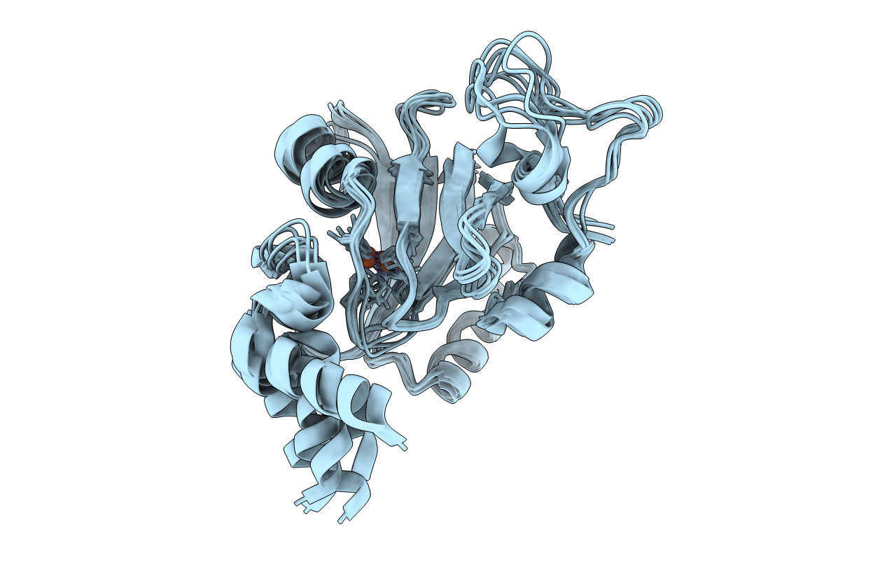 7JXG image